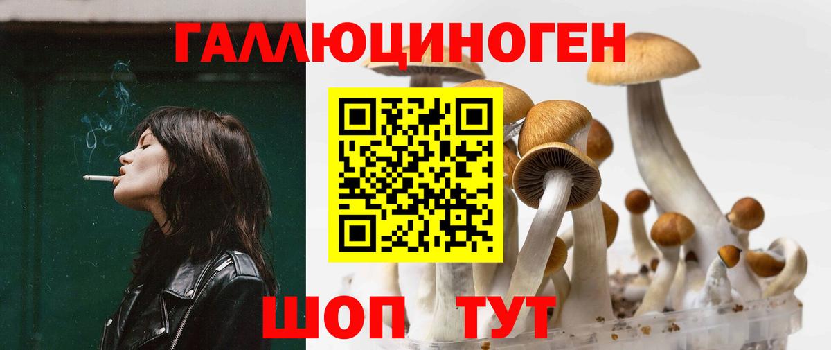 Псилоцибиновые грибы мицелий Павловский Посад