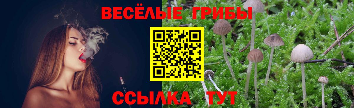 Псилоцибиновые грибы MAGIC MUSHROOMS  Вход с VPN  Павловский Посад 